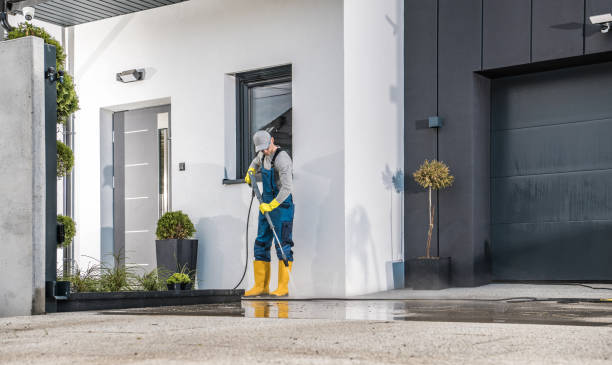 Best Roof Cleaning and Mildew Removal in Maineville, OH